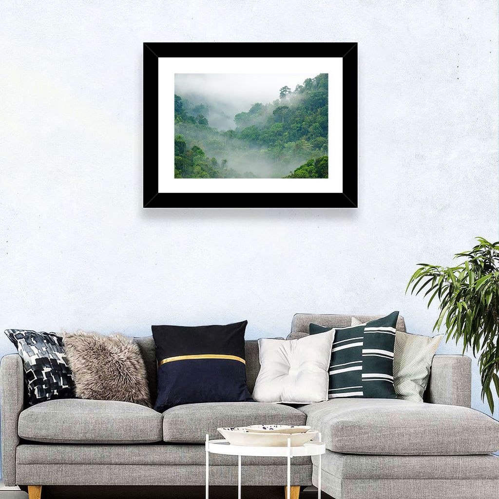 Misty Rainforest Morning Wall Art