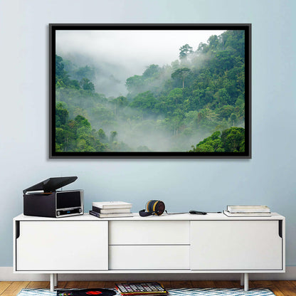 Foggy Rainforest Wall Art