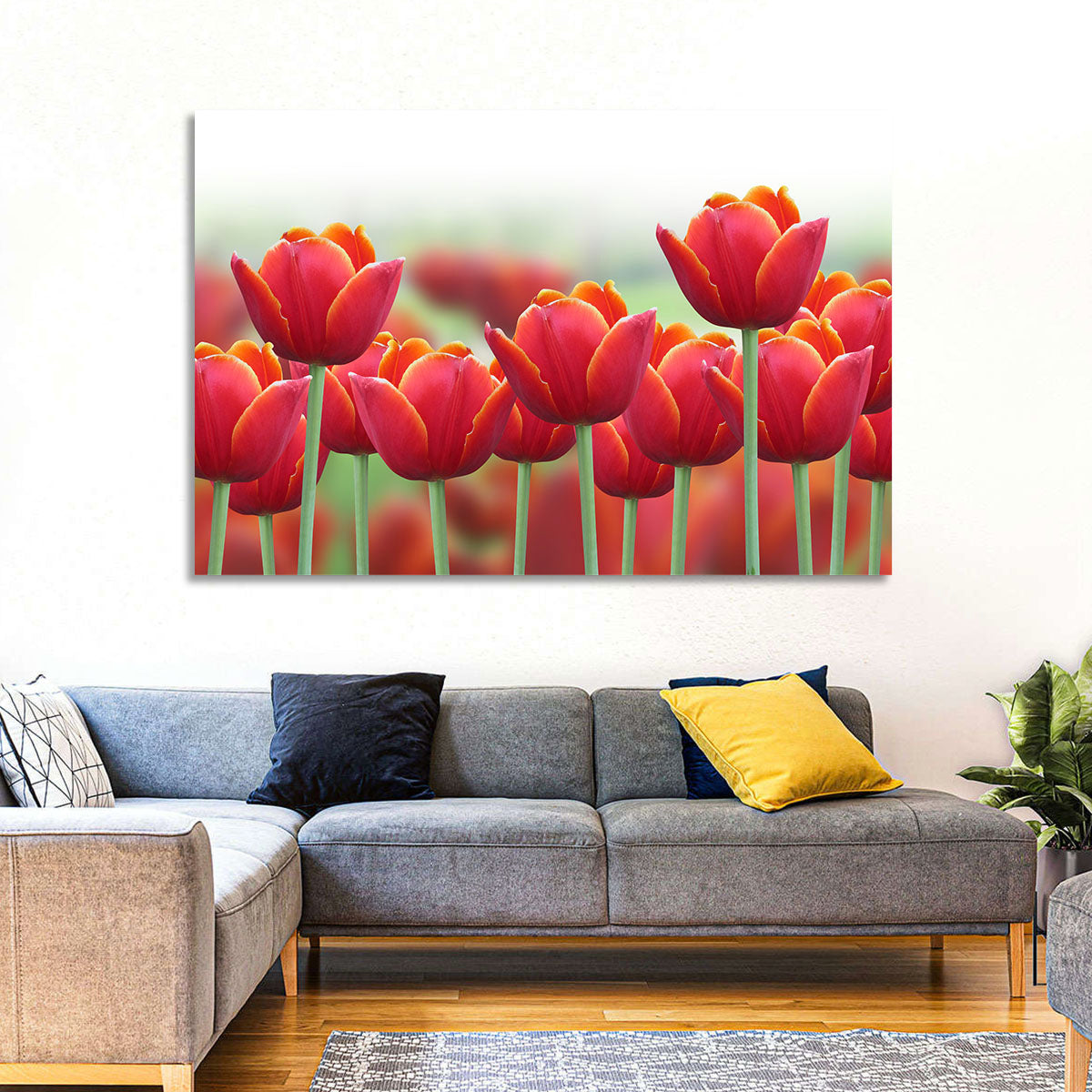 Red Tulips with Yellow Tips Wall Art in a room, landscape
