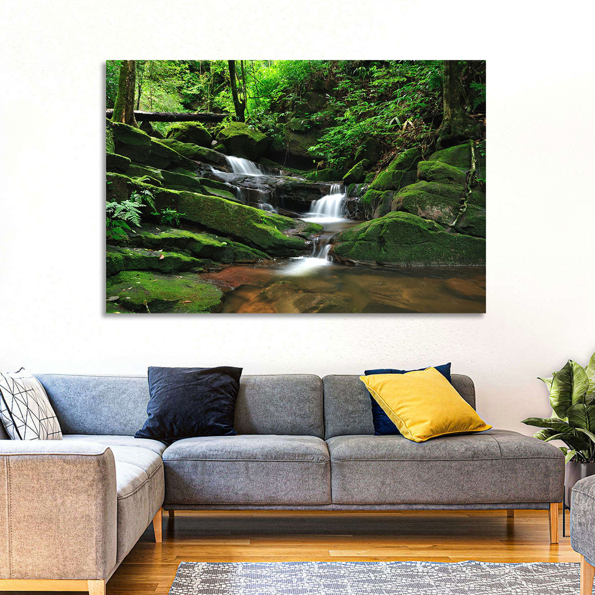 Mossy Rainforest Stream Wall Art in a room, landscape