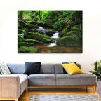 Mossy Rainforest Stream Wall Art