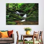 Mossy Rainforest Stream Wall Art