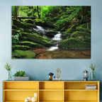 Mossy Rainforest Stream Wall Art