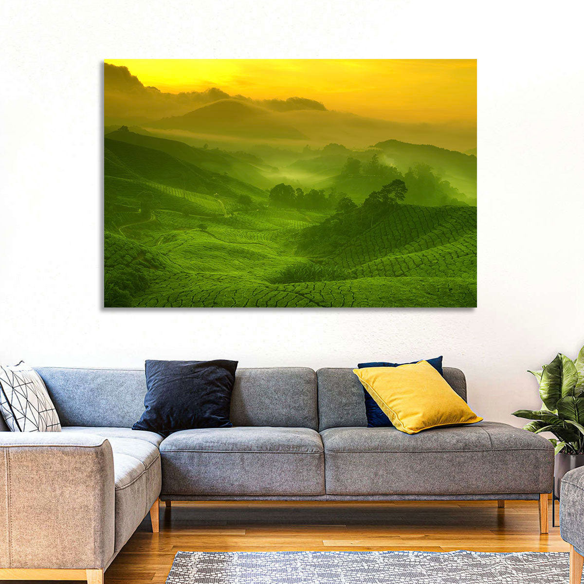 Sunlit Tea Plantation Hills Wall Art