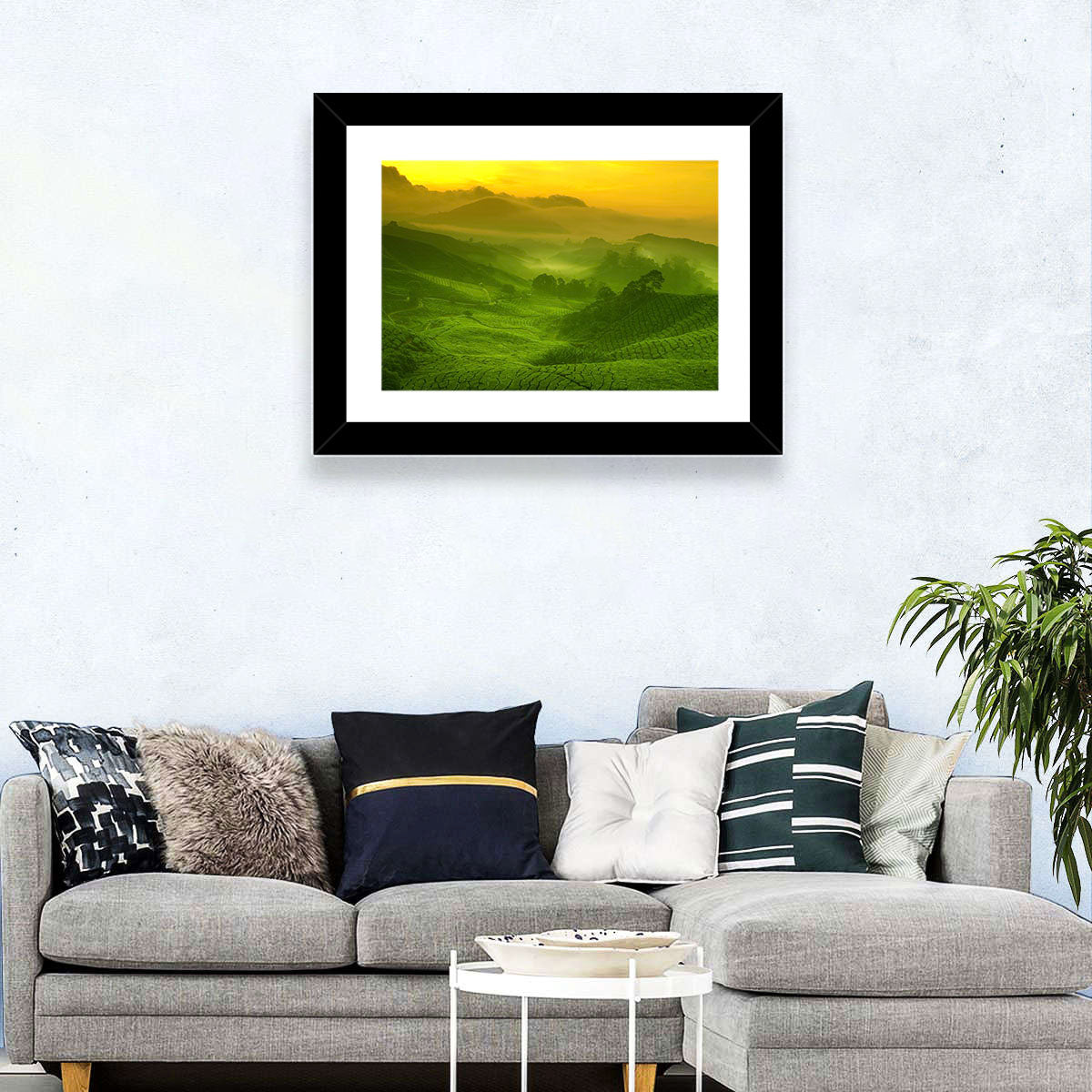 Sunlit Tea Plantation Hills Wall Art in a room, landscape