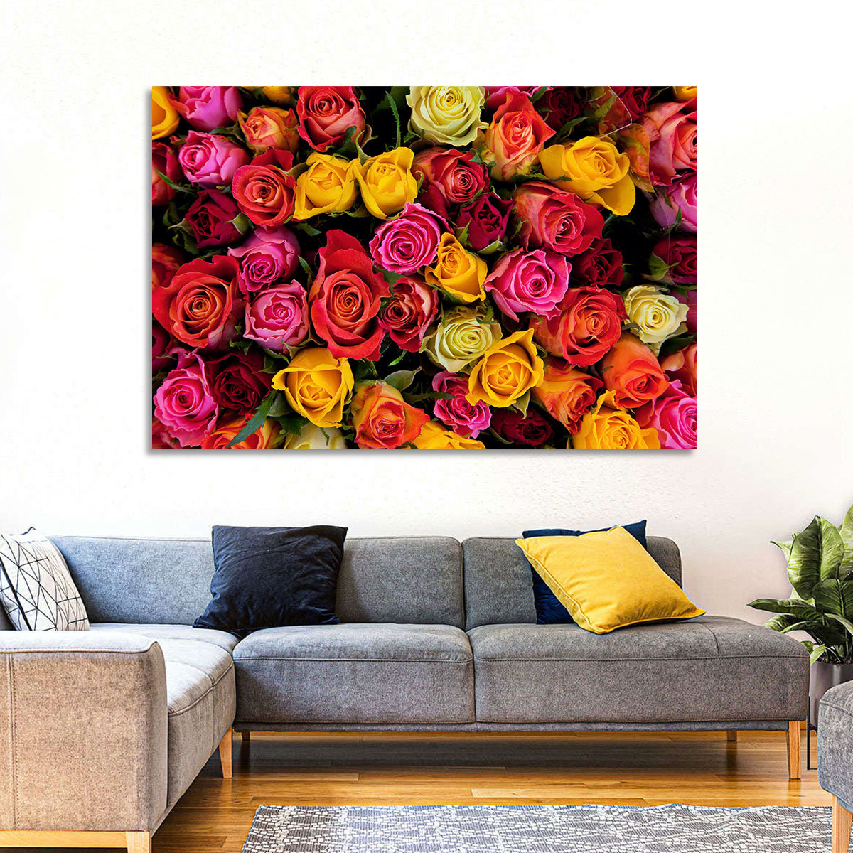 Multicolored Roses Close-up Wall Art
