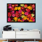 Multicolored Roses Close-up Wall Art