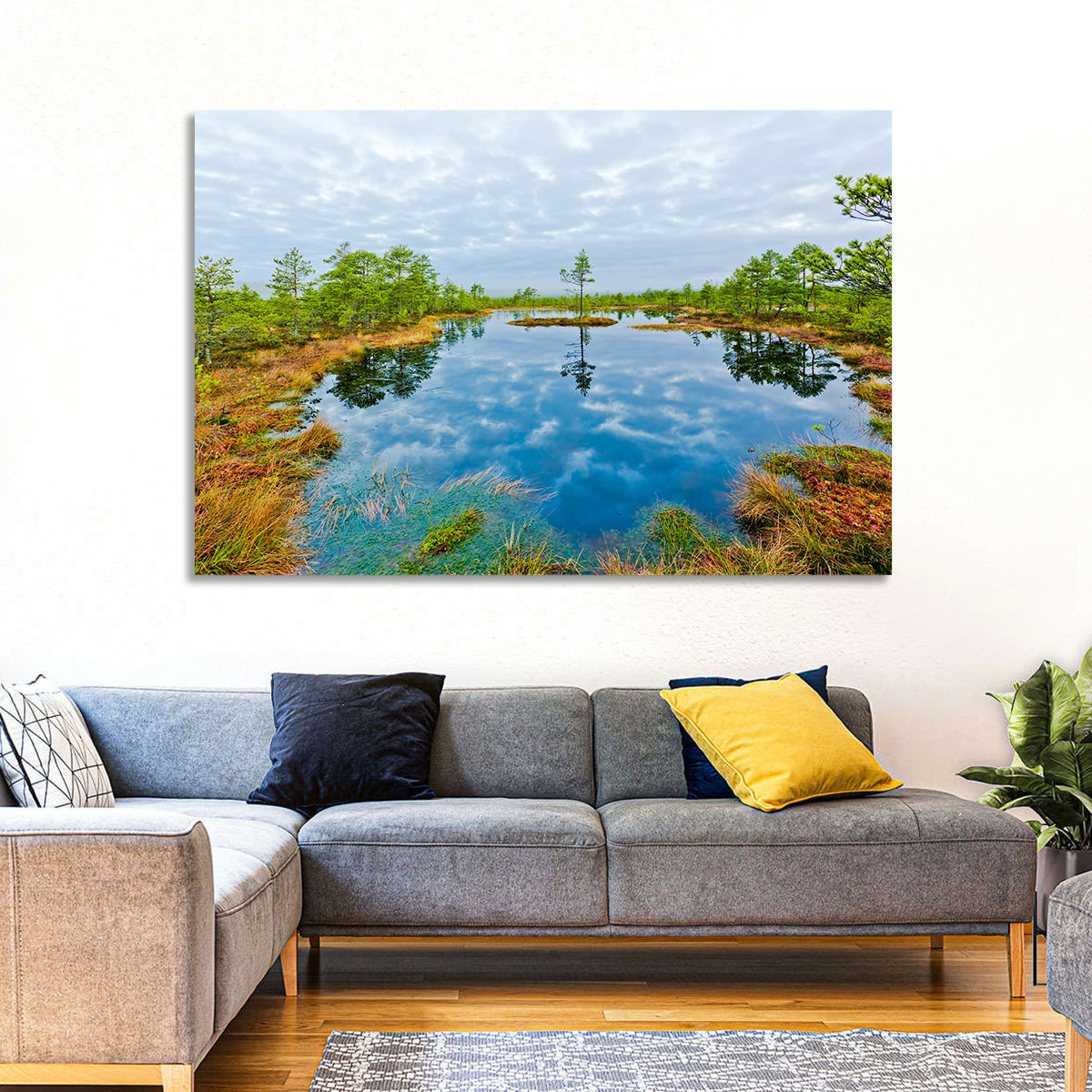 Viru Bog Reflections Wall Art in a room, landscape