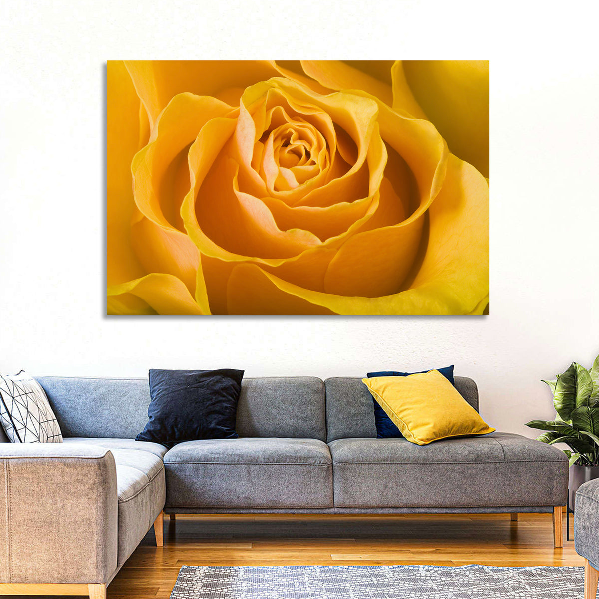 Yellow Rose Close-up Wall Art in a room, landscape
