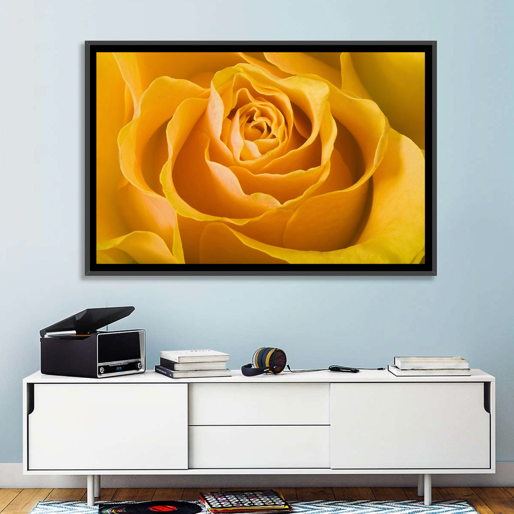Yellow Rose Close-up Wall Art