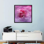 Ethereal Pink Rose Bloom Wall Art