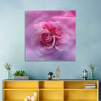Ethereal Pink Rose Bloom Wall Art
