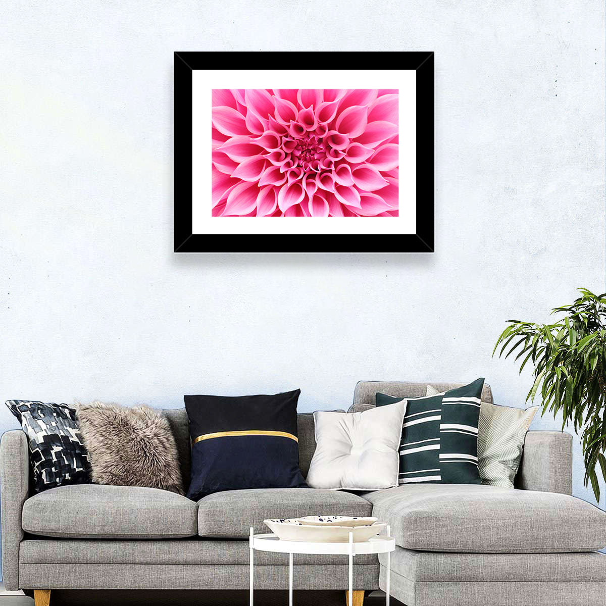 Pink Dahlia Spiral Close-up Wall Art in a room, landscape