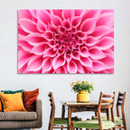 Pink Dahlia Spiral Close-up Wall Art