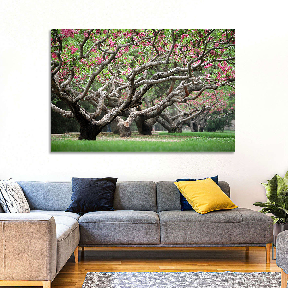 Peach Orchard in Bloom Wall Art in a room, landscape
