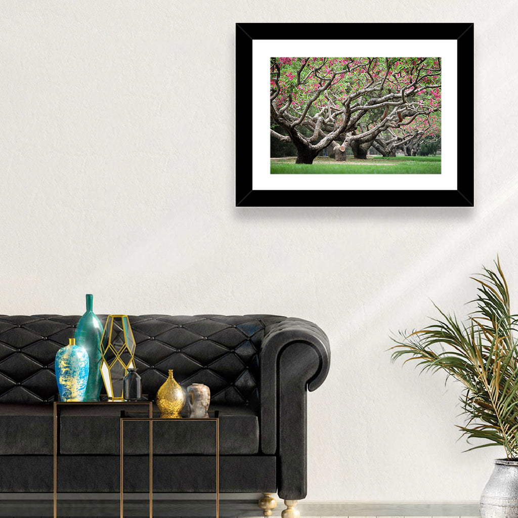Peach Orchard in Bloom Wall Art