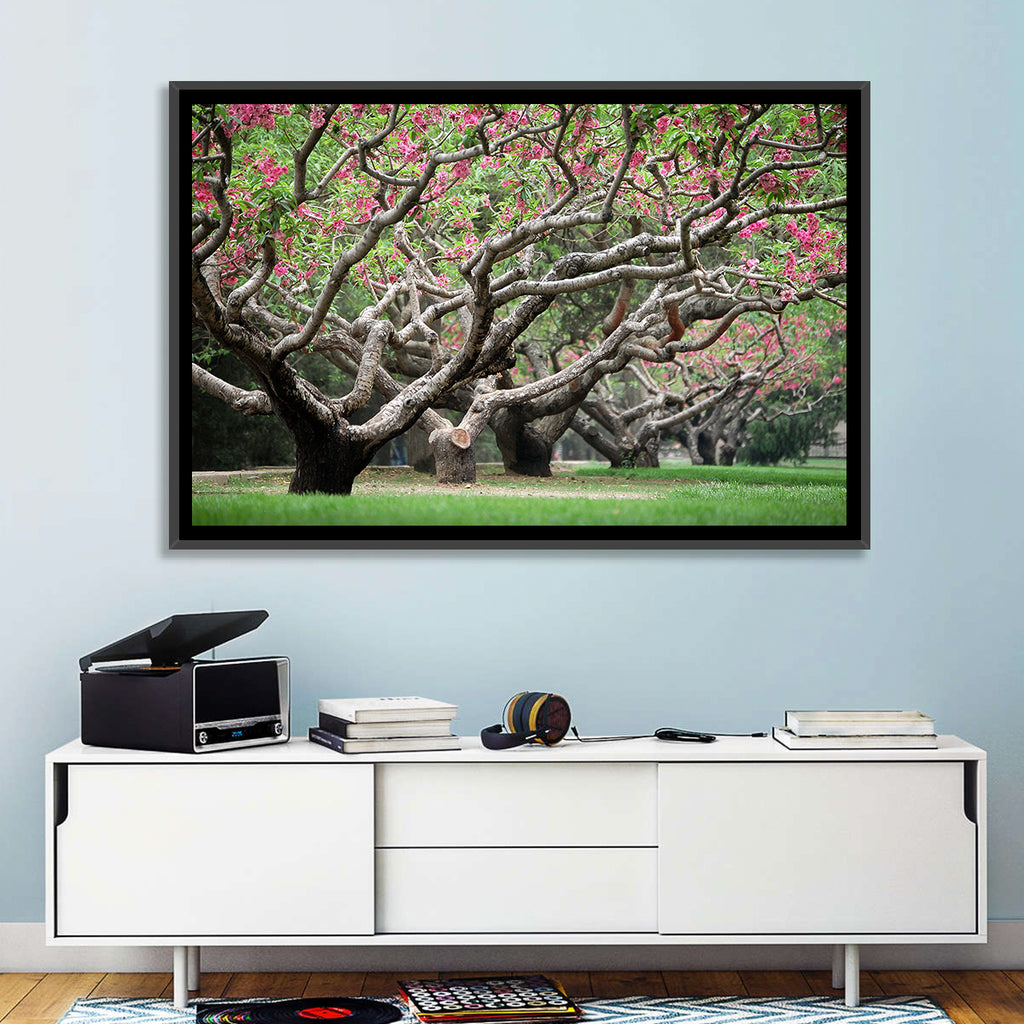 Peach Orchard in Bloom Wall Art