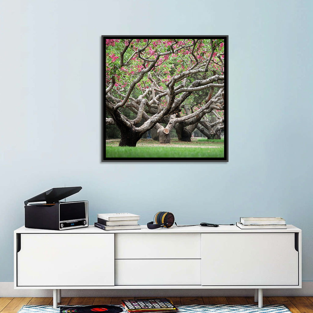 Peach Orchard in Bloom Wall Art