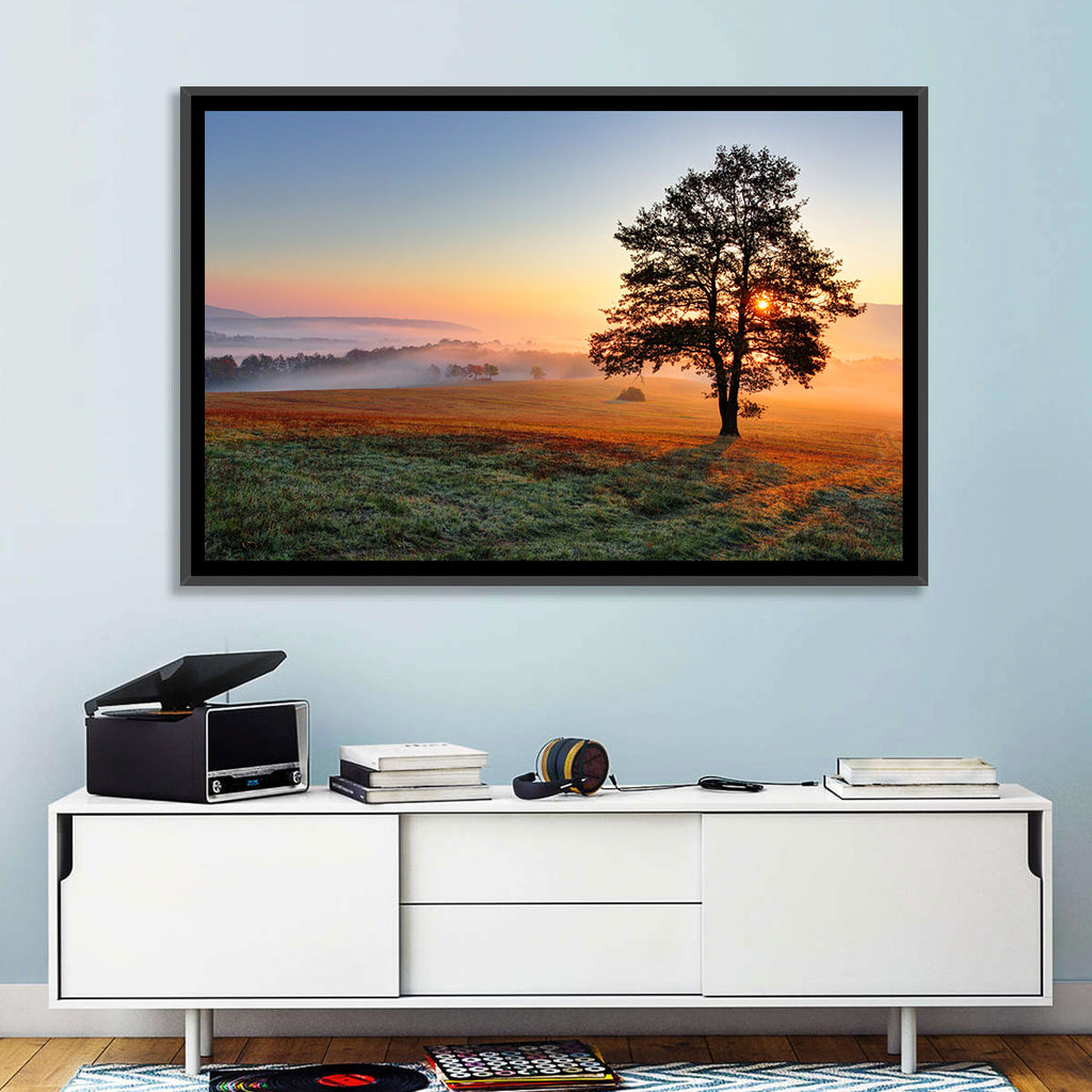 Misty Meadow Sunrise with Lone Tree Wall Art