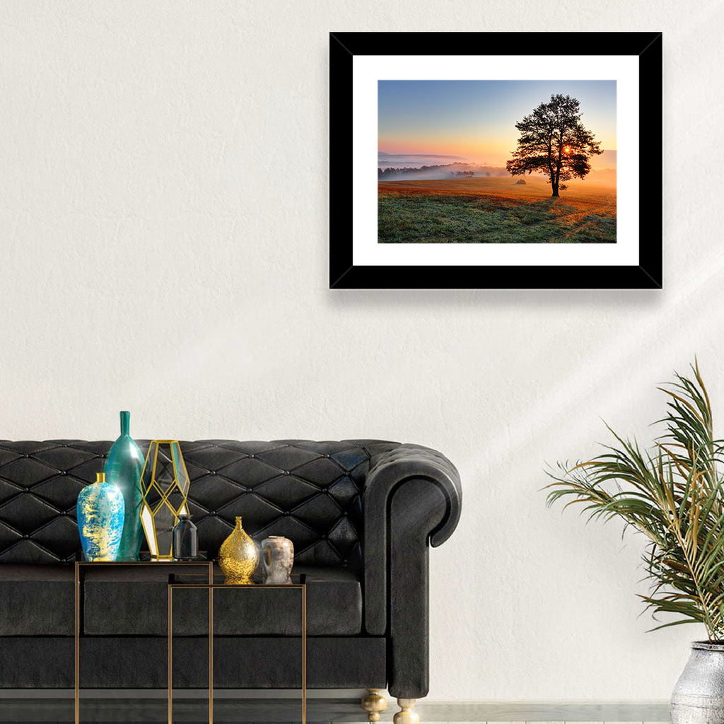 Misty Meadow Sunrise with Lone Tree Wall Art
