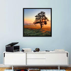 Misty Meadow Sunrise with Lone Tree Wall Art