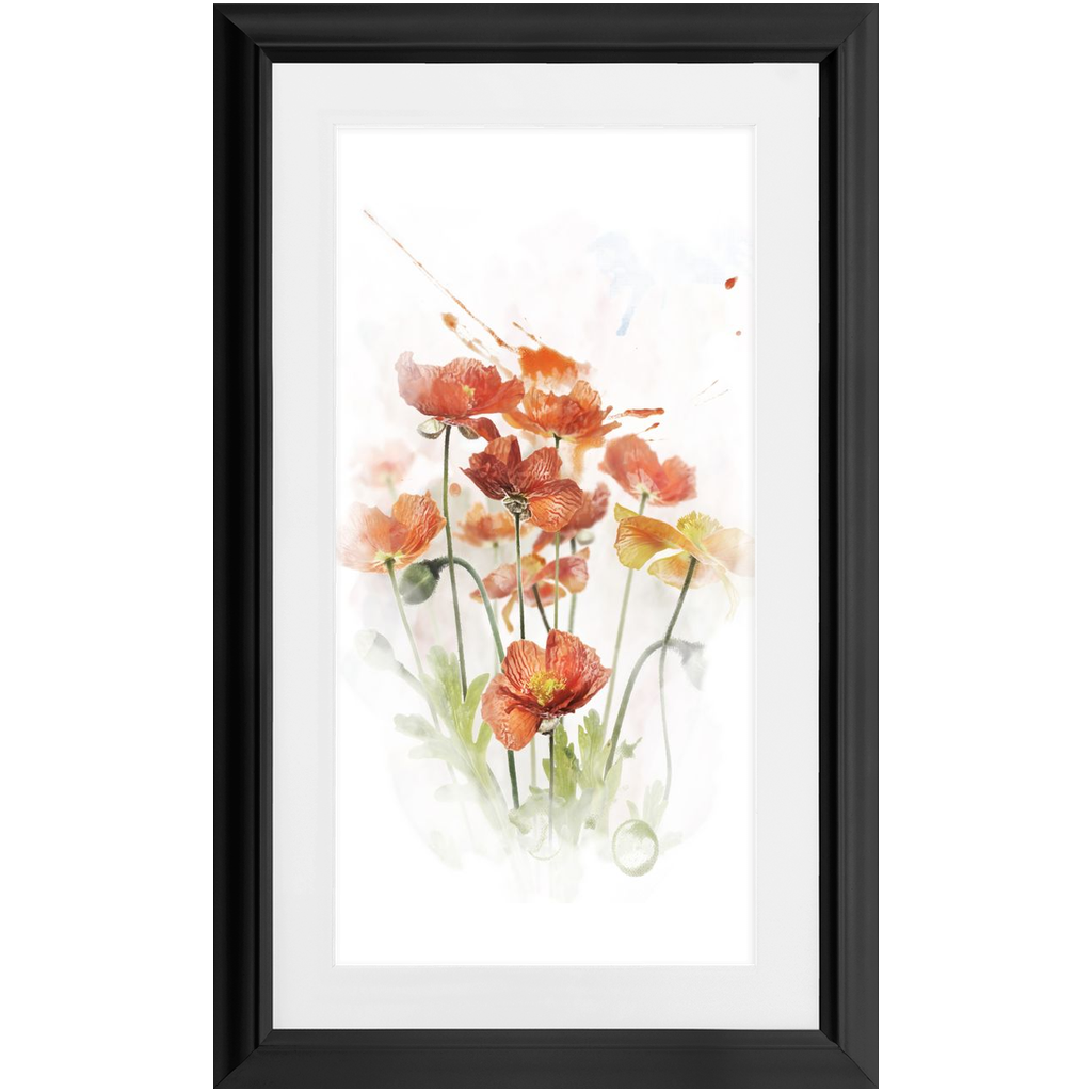 Blooming Poppy Flowers Wall Art