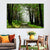 Foggy Forest Road Wall Art