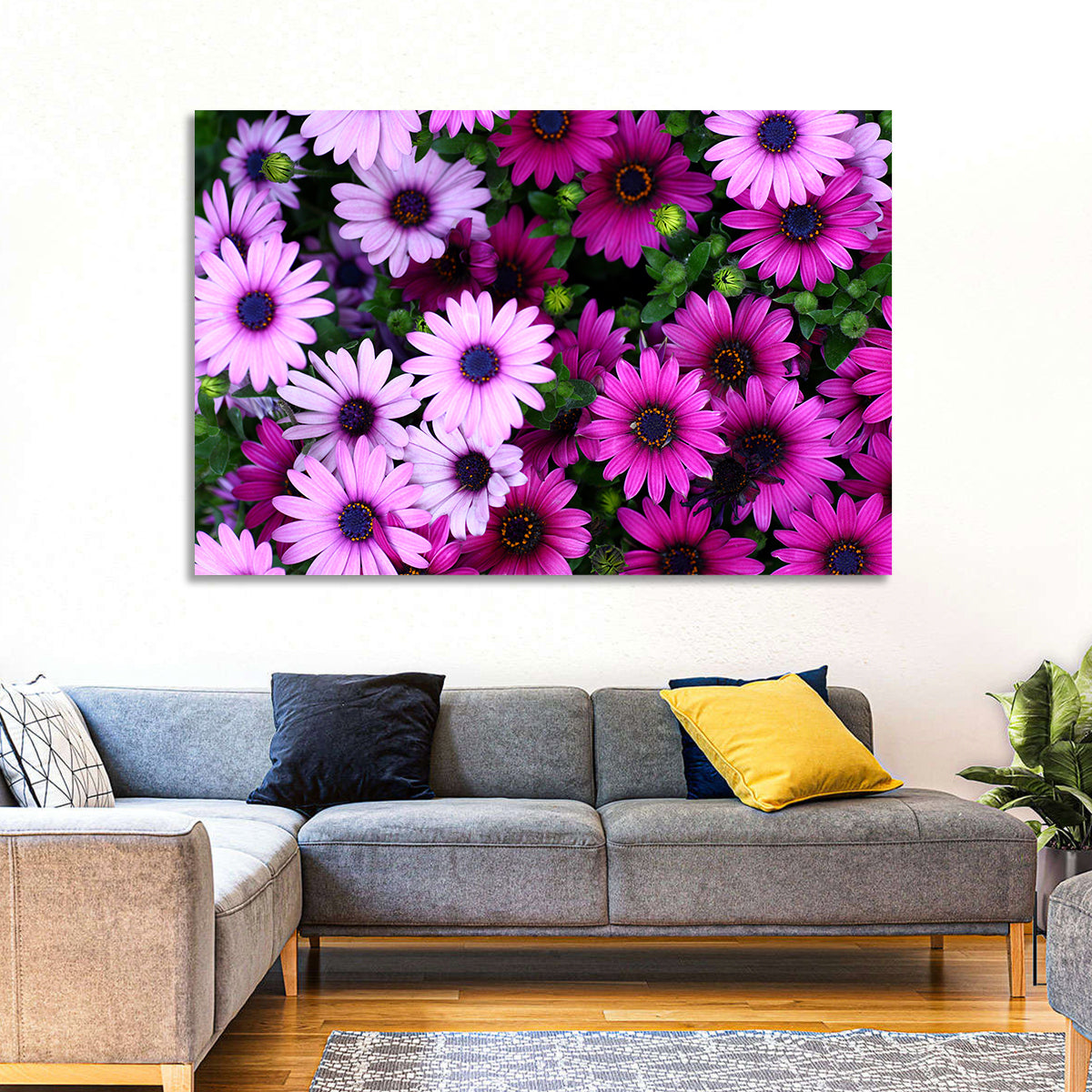 Pink and Purple Daisies Wall Art