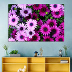 Pink and Purple Daisies Wall Art