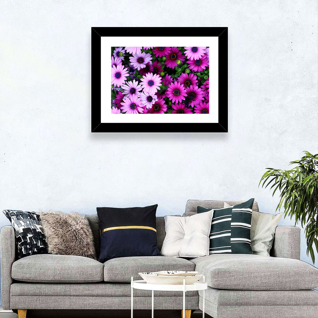 Pink and Purple Daisies Wall Art