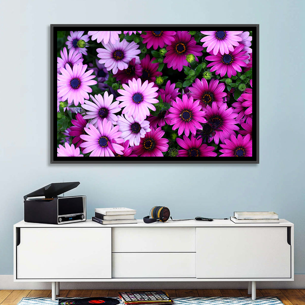 Pink and Purple Daisies Wall Art