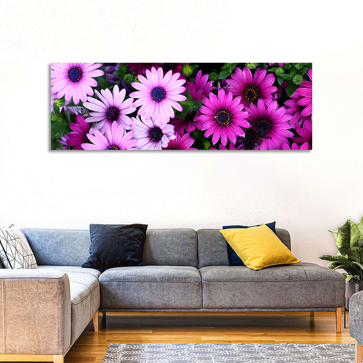 Pink and Purple Daisies Wall Art