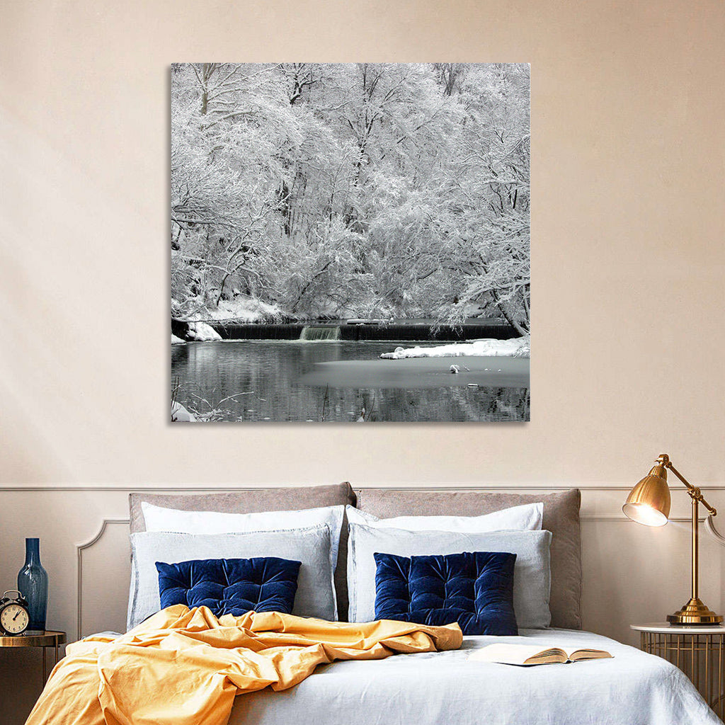 Fairmount Park Winter Spillway Wall Art
