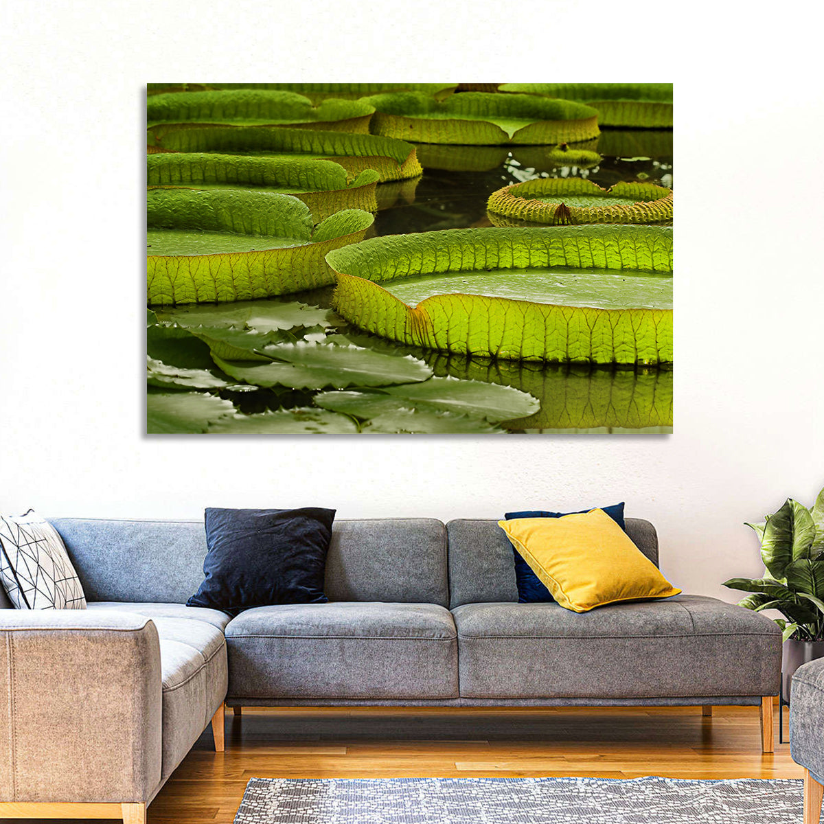 Giant Victoria Amazonica Lily Pads Wall Art