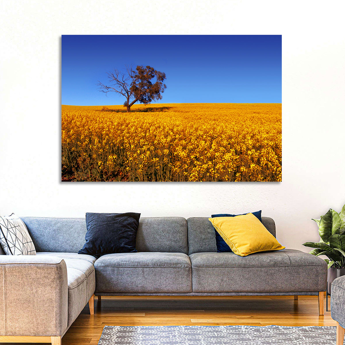 Canola Field with Lone Tree Wall Art in a room, landscape