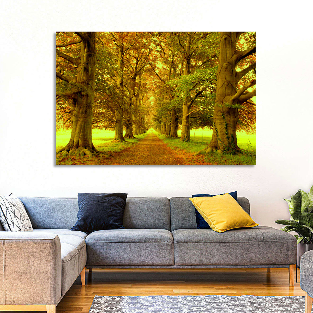 Beech Tree Lane at Golden Hour Wall Art in a room, landscape