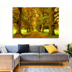 Beech Tree Lane at Golden Hour Wall Art
