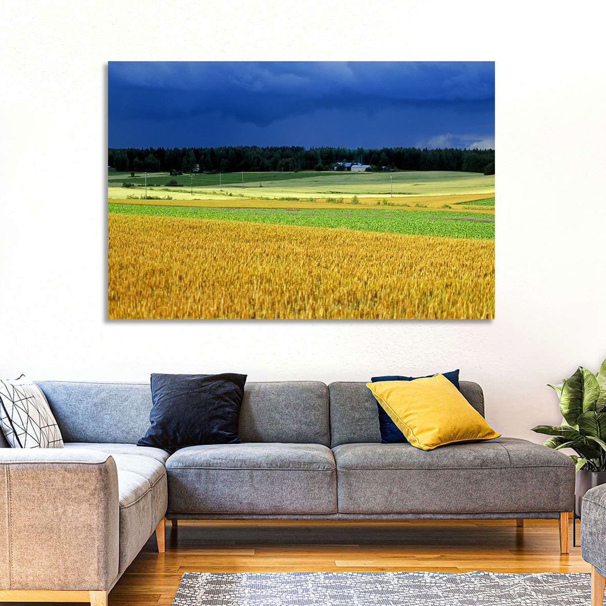Cornfields Under Stormy Sky Wall Art in a room, landscape
