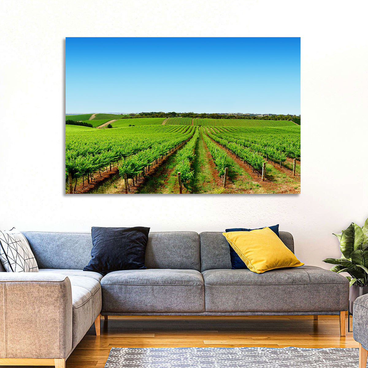 Sunlit Vineyard Rows Wall Art in a room, landscape