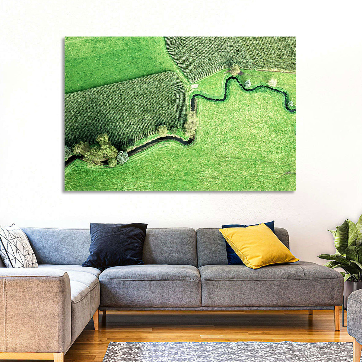 Meandering Stream Over Farmland Wall Art