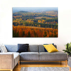 Finnish Autumn Landscape with Red-roofed House Wall Art