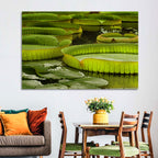 Giant Victoria Amazonica Lily Pads Wall Art
