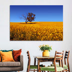 Canola Field with Lone Tree Wall Art