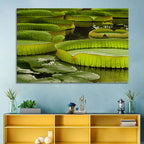 Giant Victoria Amazonica Lily Pads Wall Art