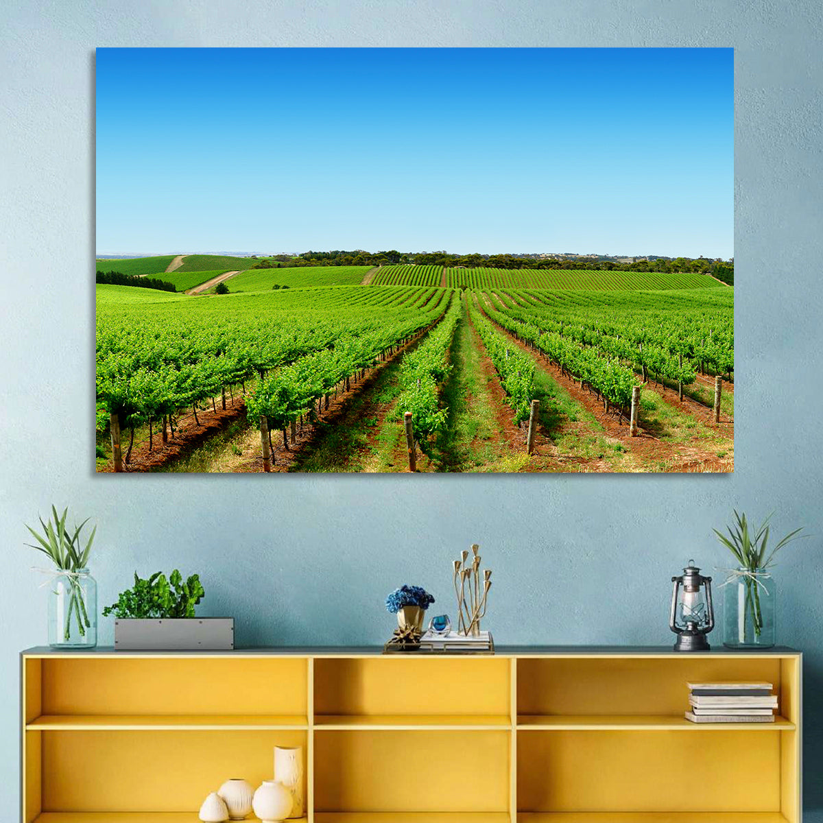 Sunlit Vineyard Rows Wall Art in a room, landscape