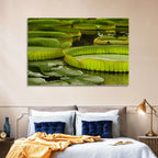 Giant Victoria Amazonica Lily Pads Wall Art