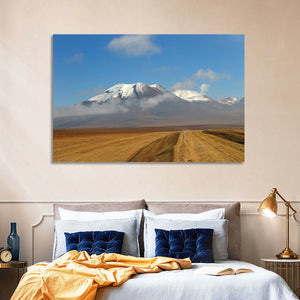 Atacama Desert Wall Art