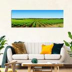 Sunlit Vineyard Rows Wall Art