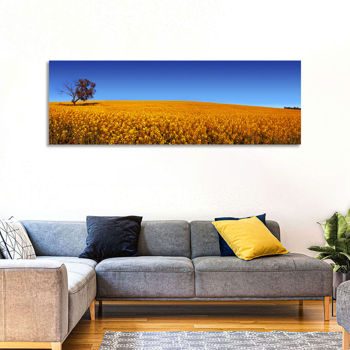 Canola Field with Lone Tree Wall Art in a room, panoramic
