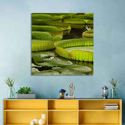 Giant Water Lilies Wall Art